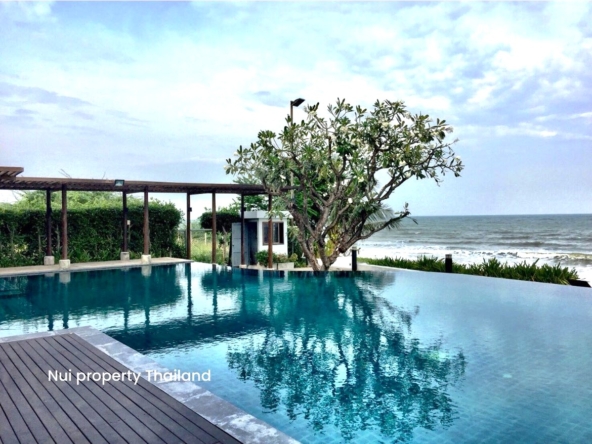 515438604_1551023123001979_4414152510961743640_n